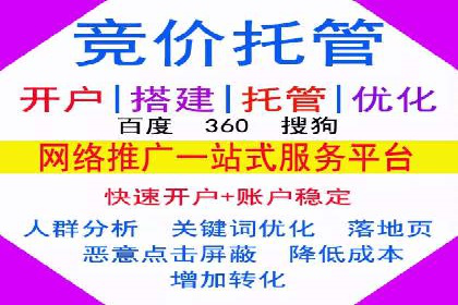 SEM托管公司案例：业绩提升之道